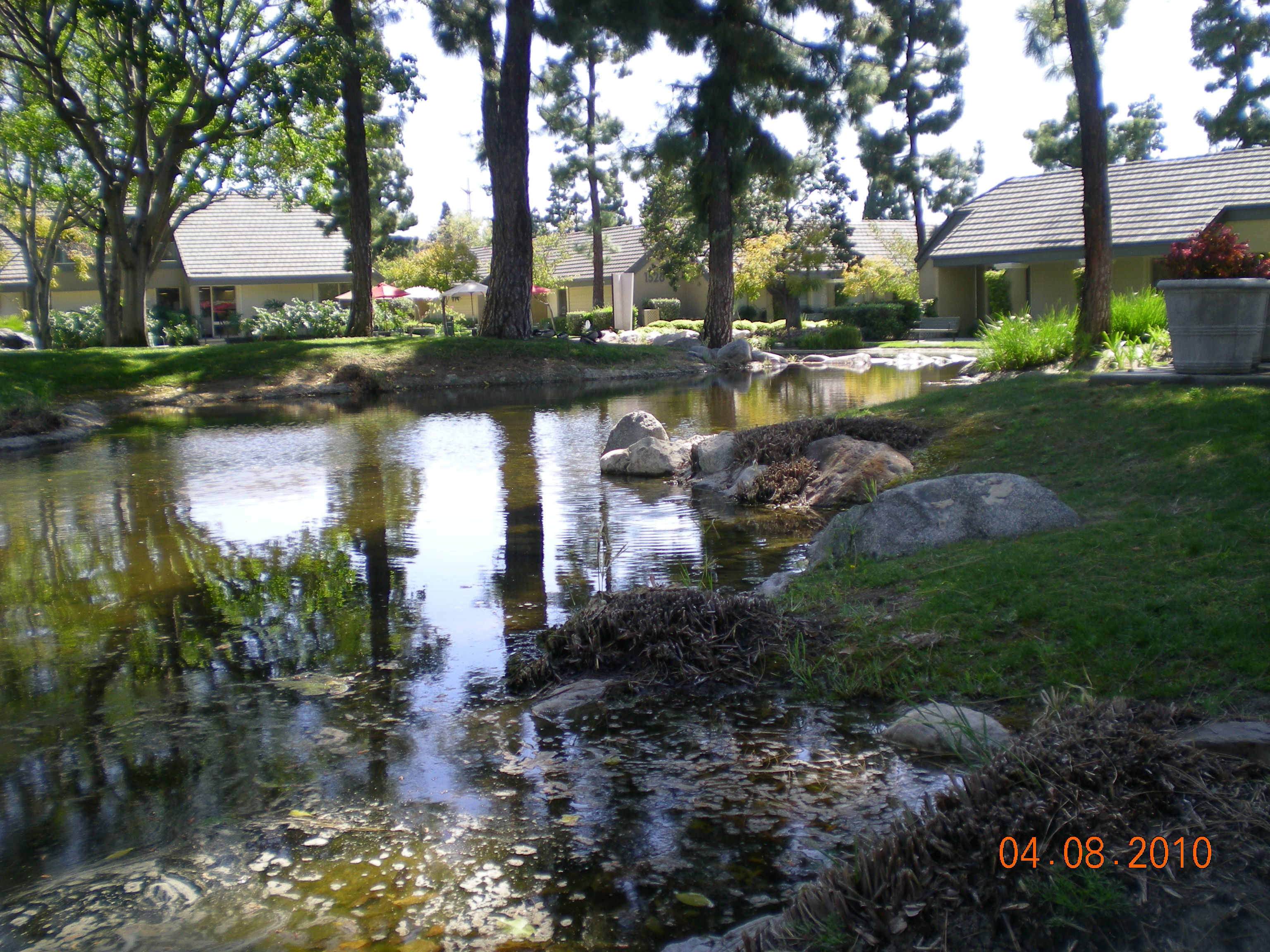 Brookhollow Pond
